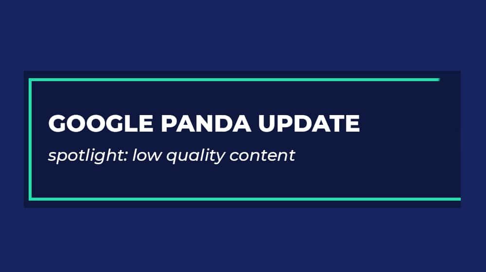 Google Panda Back là gì? 9 Nguyên nhân Website dính án phạt Panda 2023